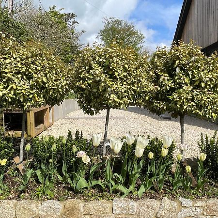 Cedar House Pensionat Ilsington Eksteriør billede